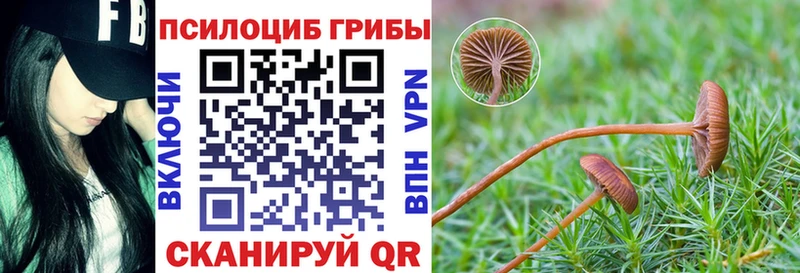 Галлюциногенные грибы мицелий  Ленинск 